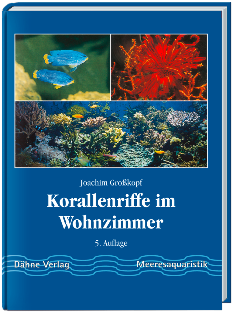 Korallenriffe im Wohnzimmer