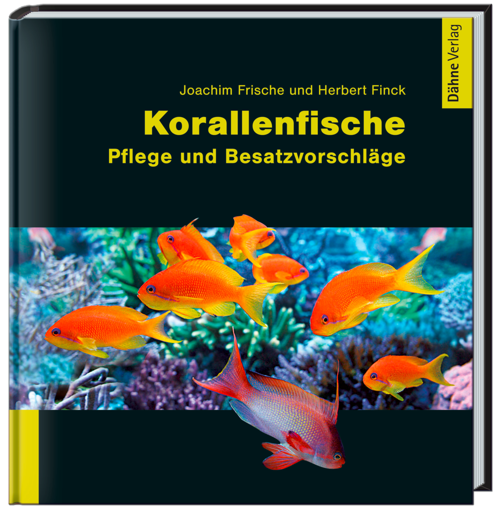 Korallenfische Pflege und Besatzvorschläge