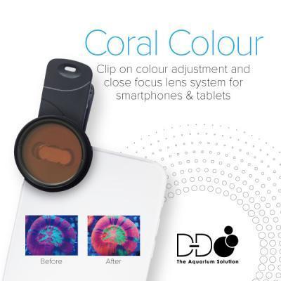 D-D - Coral Colour Lense