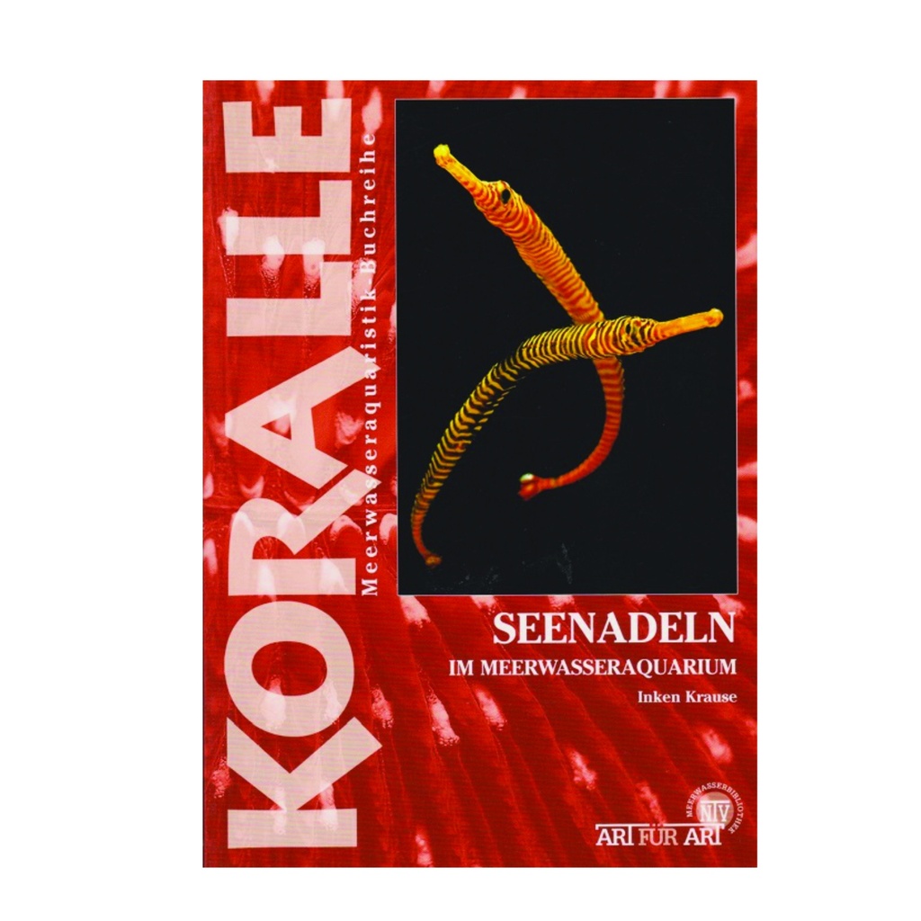 Seenadeln im Meerwasseraquarium