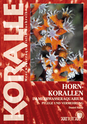 Hornkorallen im Meerwasseraquarium