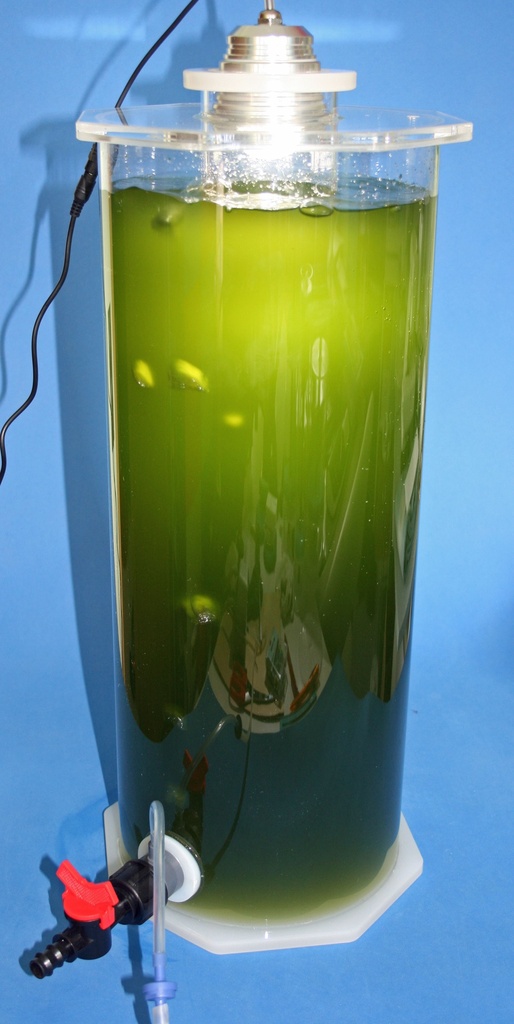 Knepo - Planktonraktor Luft betrieben 6 Liter