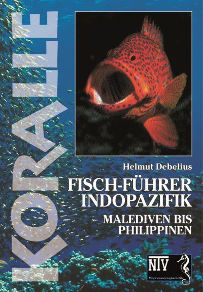 Fisch-Führer Indopazifik