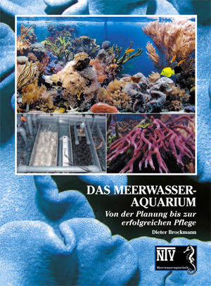 Das Meerwasseraquarium