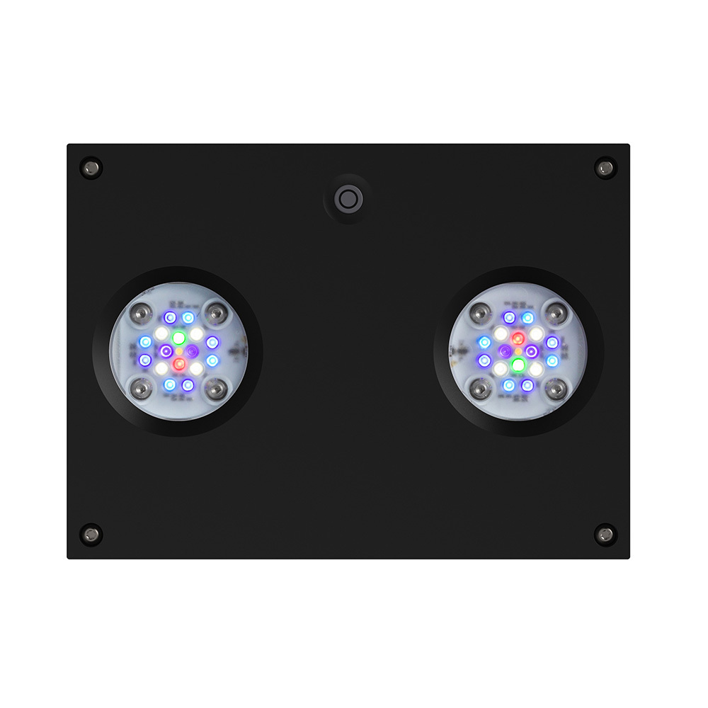 Aqua Illumination - Hydra 32 HD