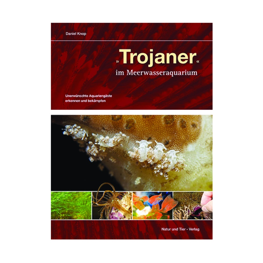 Trojaner im Meerwasseraquarium