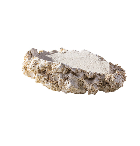 Muschelhalter S
