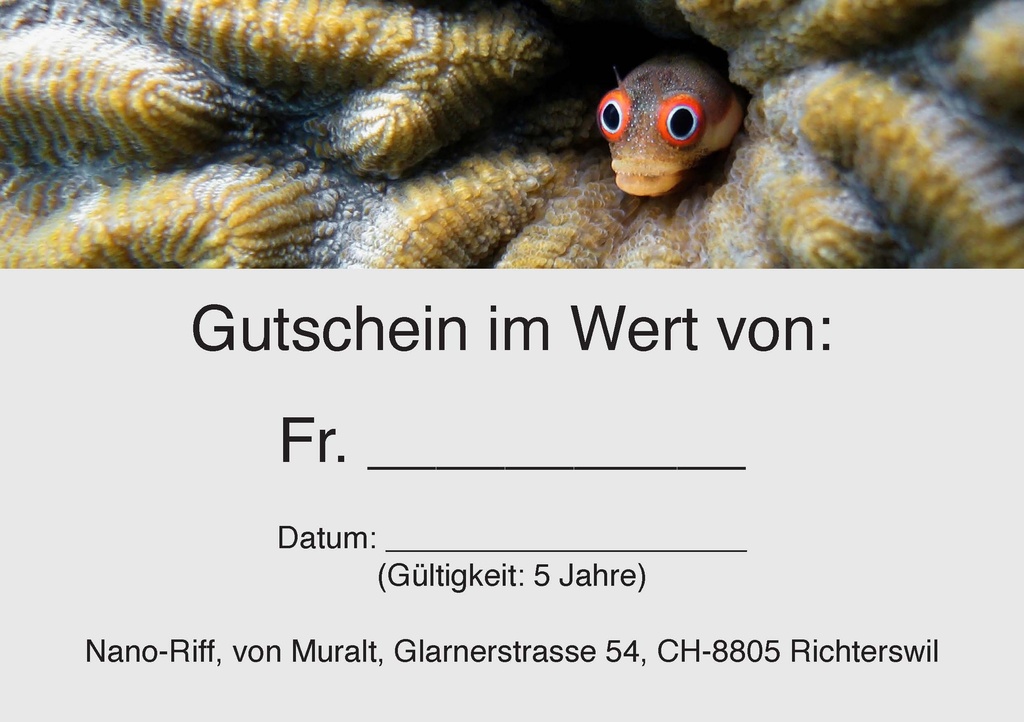 Gutschein nano-riff