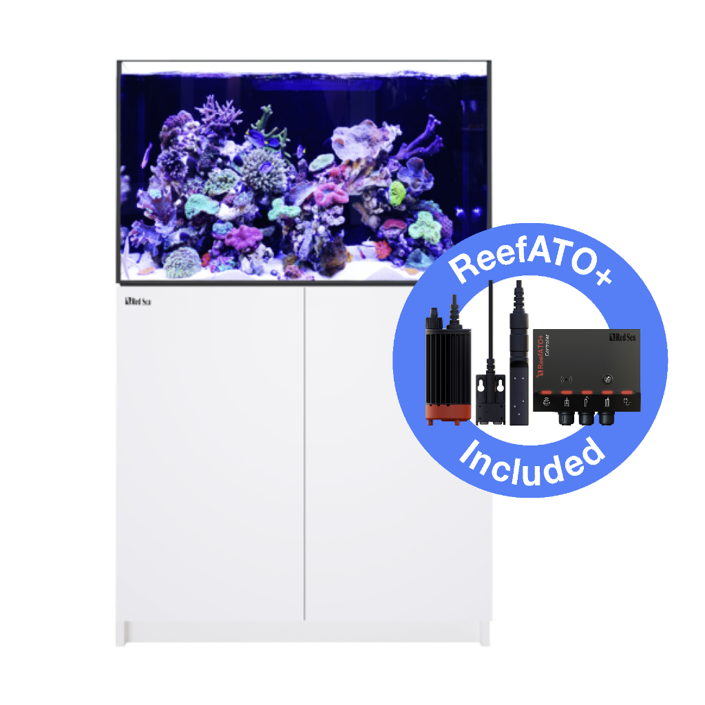 Red Sea - Reefer 300 System G3+