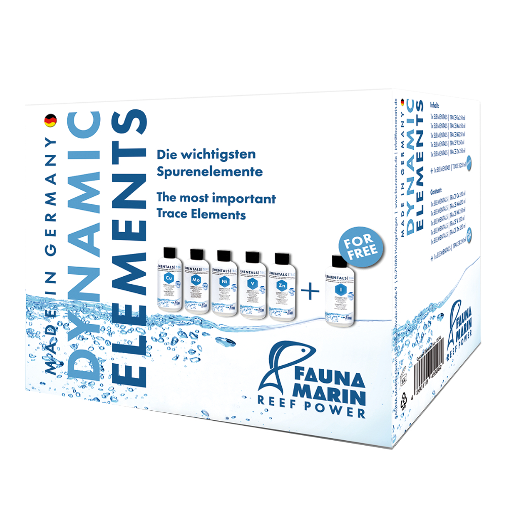 Fauna Marin - Dynamic Elements