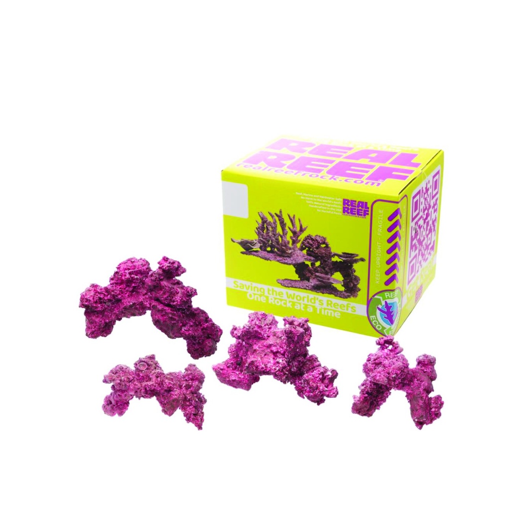 Real Reef Rock - Arches Medium