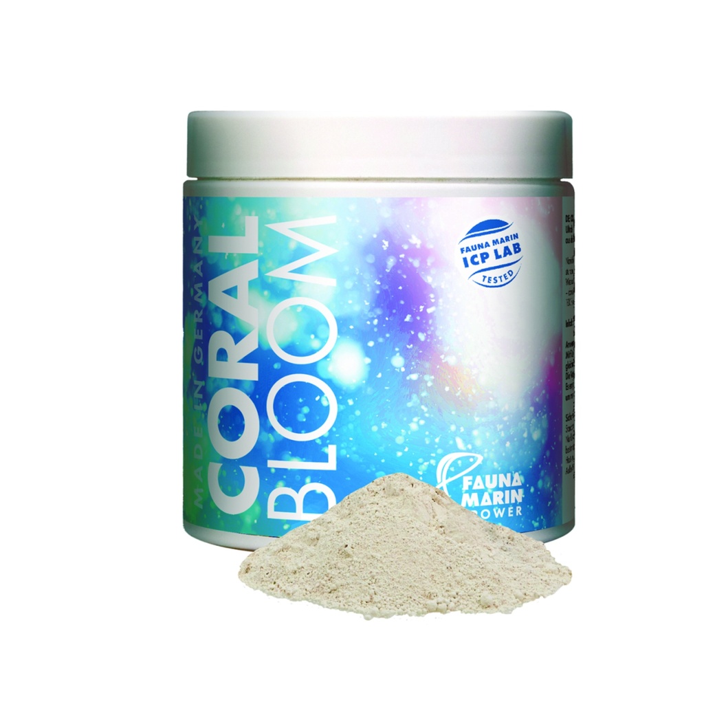 Fauna Marin - Coral Bloom 