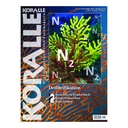 KORALLE 157