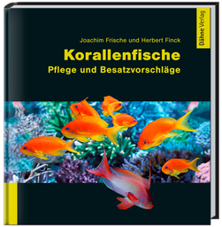 [DA10005] Korallenfische Pflege und Besatzvorschläge