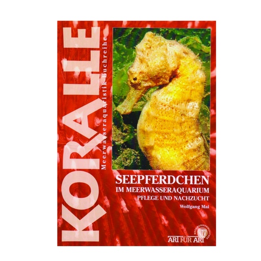 [KO10057] Seepferdchen im Meerwasseraquarium