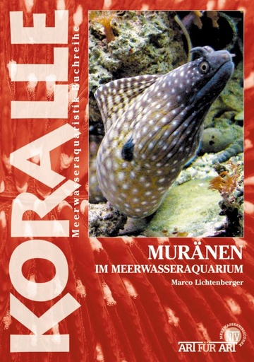 [K1O081] Muränen im Meerwasseraquarium