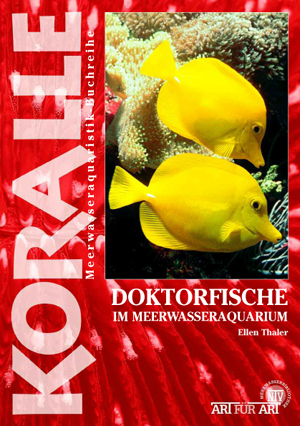 [KO18200] Doktorfische im Meerwasseraquarium