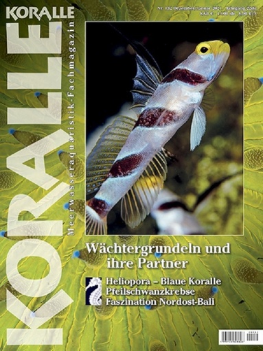 [KO13200] KORALLE 132