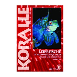 [NT10900] Leierfische im Meerwasseraquarium