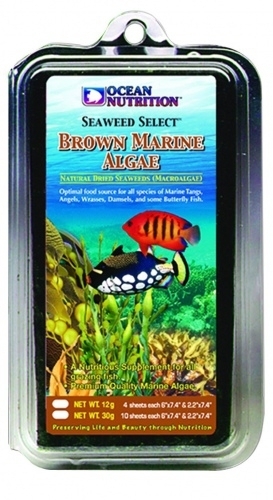 [ON12515] Ocean Nutrition - Brown Marine Algae (mit Clip)