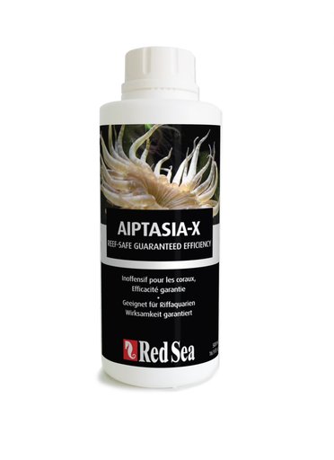 Red Sea - AIPTASIA-X