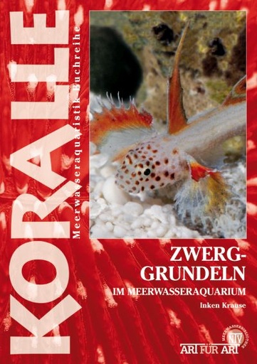 [KO10067] Zwerggrundeln im Meerwasseraquarium