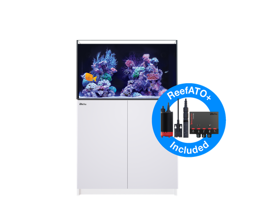 Red Sea - Reefer 250 System G3+