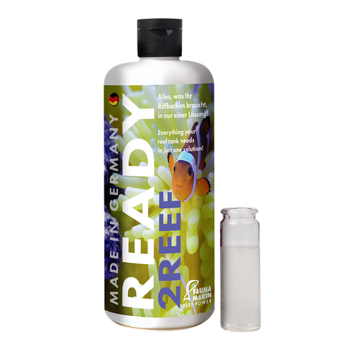 Fauna Marin  - READY2REEF