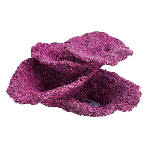 [RR10040] Real Reef Rock - Plates corals (Box)