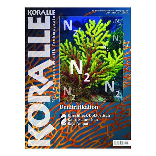 [KO10157] KORALLE 157